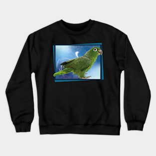 blue-crowned parrot Crewneck Sweatshirt